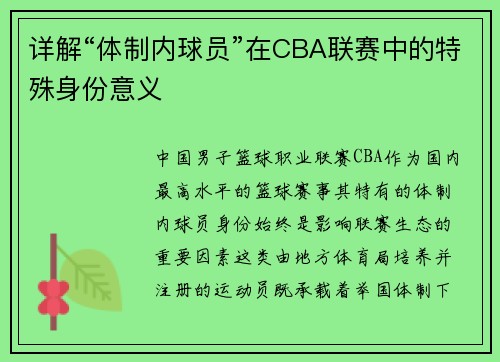 详解“体制内球员”在CBA联赛中的特殊身份意义